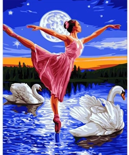 Malen nach Zahlen auf Keilrahmen 40 × 50 cm – Schwanensee