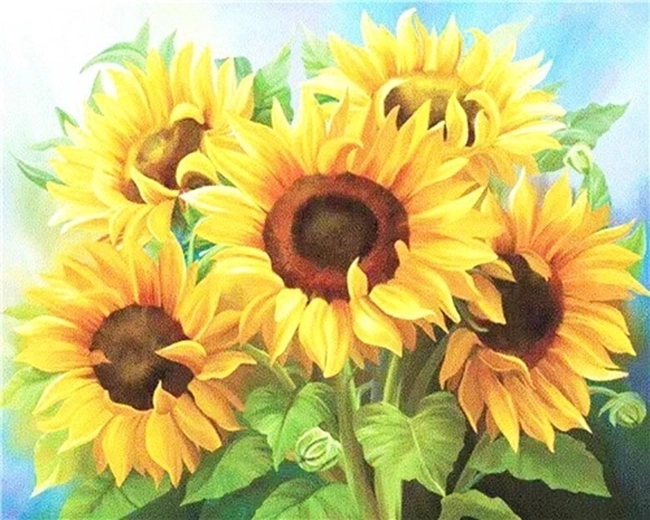 NORIMPEX Malen nach Zahlen Sonnenblumenstrauß 40 × 50 cm