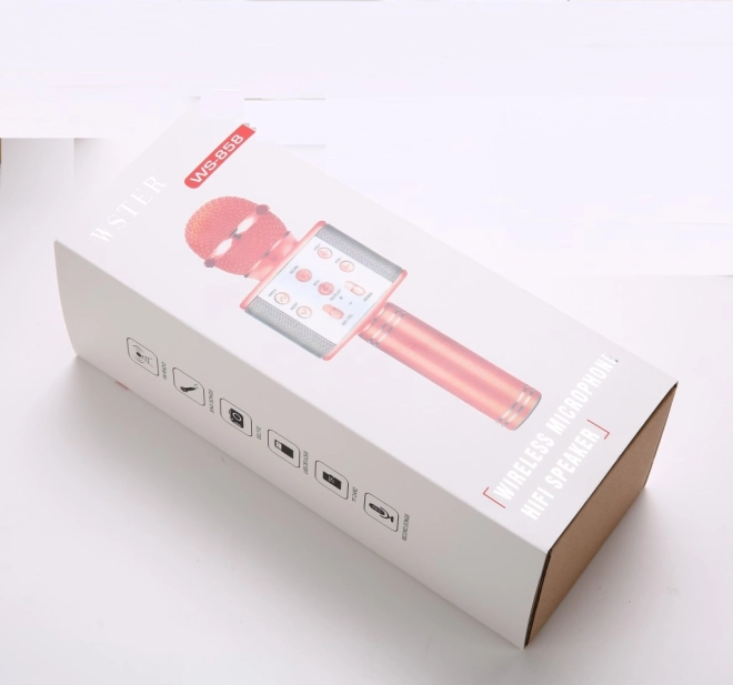 Kabelloses Karaoke-Mikrofon mit Aufnahme und USB/microSD-Unterstützung