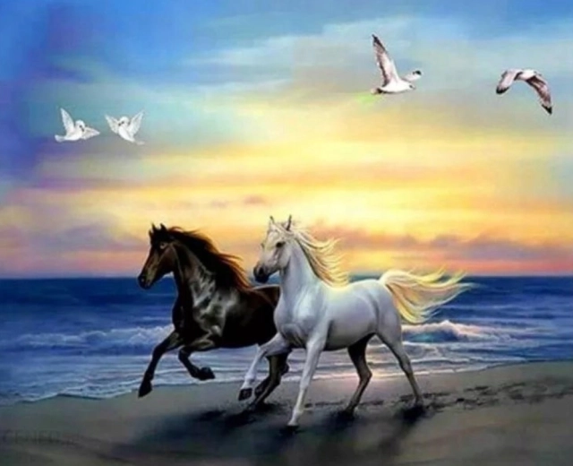 Diamantmalerei Pferde am Strand 30 × 40 cm