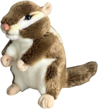 Amerikanisches Plüscheichhörnchen 18 cm