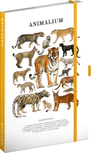 Notique Notes Animalium – Katzenartige Raubtiere (liniertes Notizbuch) 13 × 21 cm