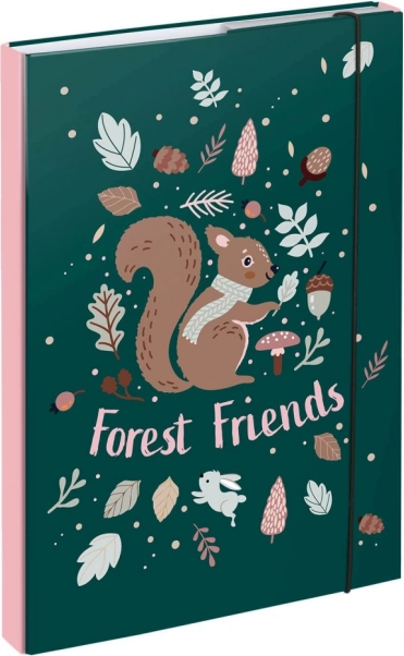 Mappen für Schulhefte A4 mit Eichhörnchen-Motiv BAAGL