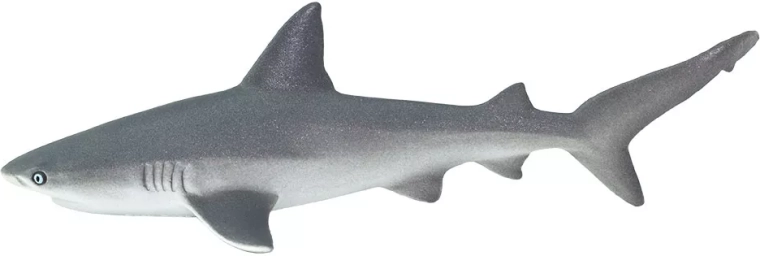 Safari Ltd. Ammenhai (Riffhai) – 1 Stück