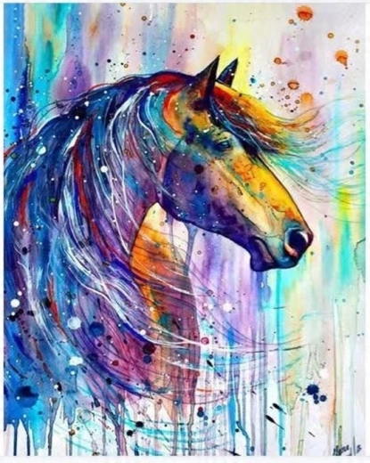 NORIMPEX Malen nach Zahlen Abstraktes Pferd 40 × 50 cm
