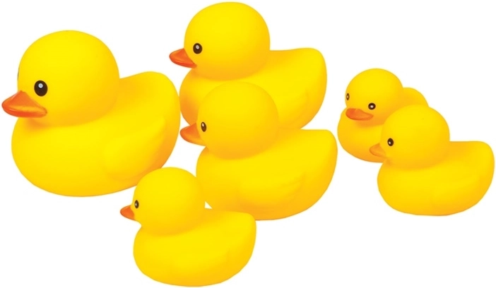 Set mit Gummienten zum Baden im Netz - 6 Stück
