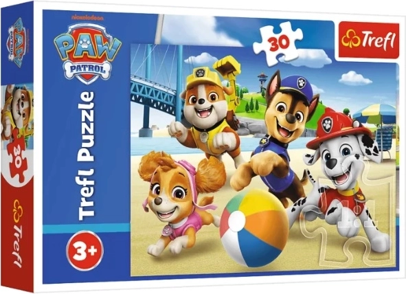 Puzzle Paw Patrol „Cztery łapy“ (30 Teile)