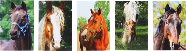 Block mit Pferdemotiv MINI 40l, 6x8,5 cm