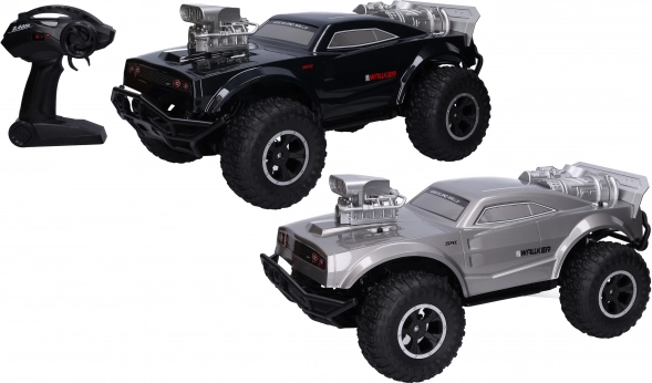 RC-Auto mit Fernsteuerung 48 cm