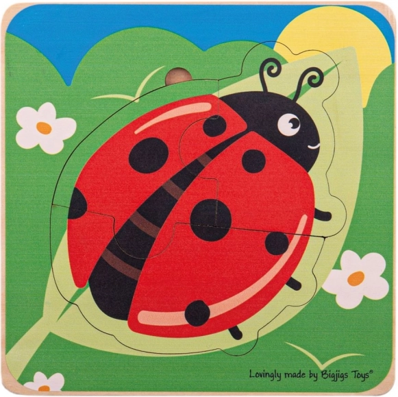 Bigjigs Toys Lebenszyklen von Puzzles einfügen – Marienkäfer
