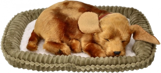 Atmender Plüschhund zur Adoption