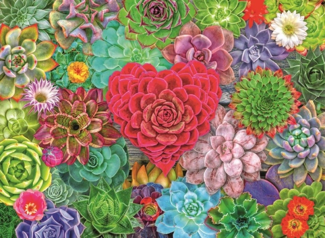 Puzzle Sukkulentenparadies 500 Teile