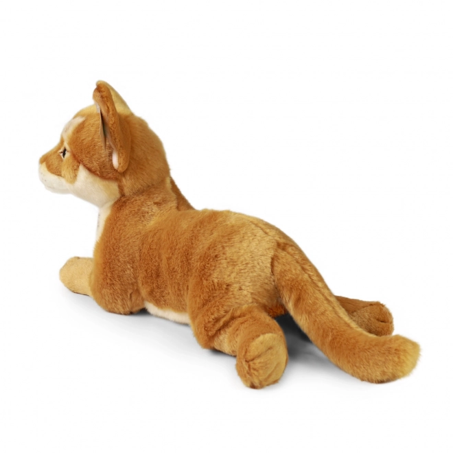 Plüschkatze Abessinier Eco-friendly
