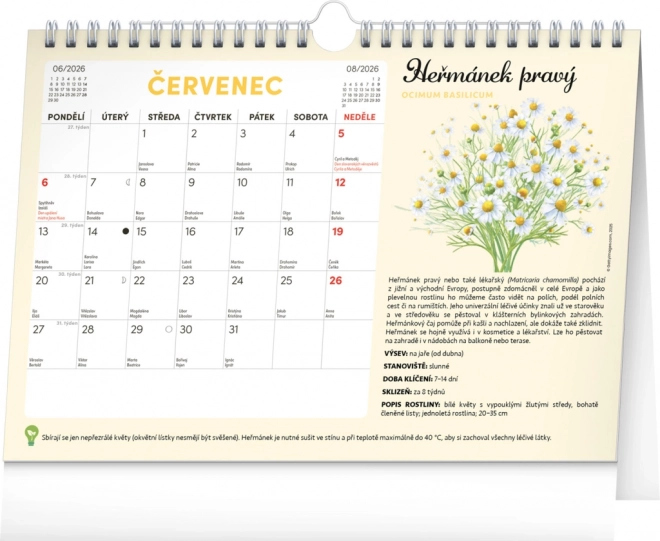 Notique Monatsplaner Kalender mit Samen 2026