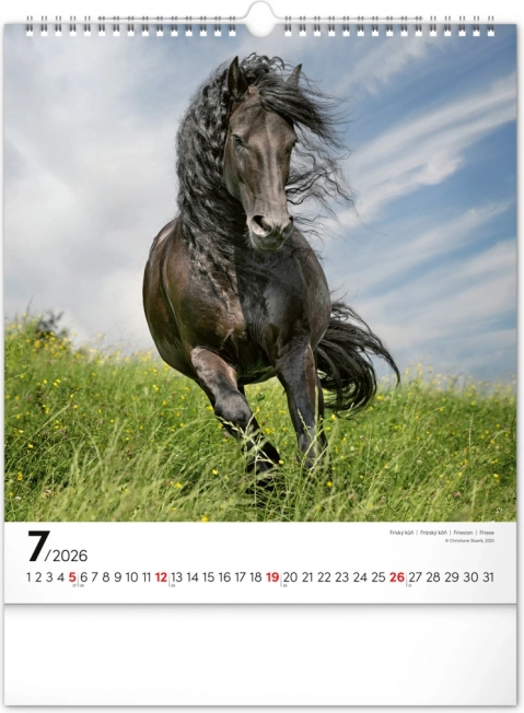 Wandkalender Pferde 2026