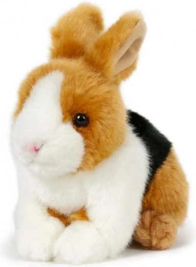 Weicher Plüsch für extra sanftes Kuscheln