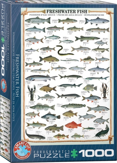 EUROGRAPHICS Puzzle Süßwasserfische 1000 Teile