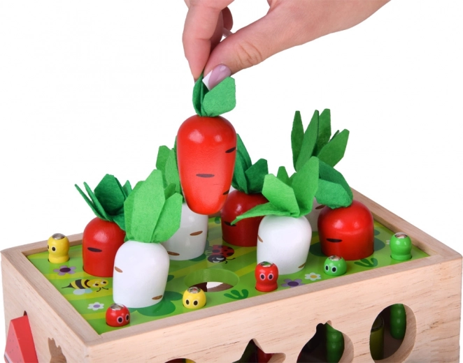 Karotten- und Radieschenernte mit Filzlaub