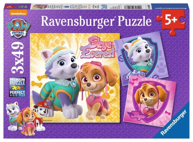 Puzzle PAW Patrol