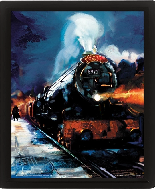 3D-Bild Harry Potter - Hogwarts Express