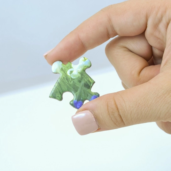 Puzzle Meisterwerke Letzte Oase 550 Teile