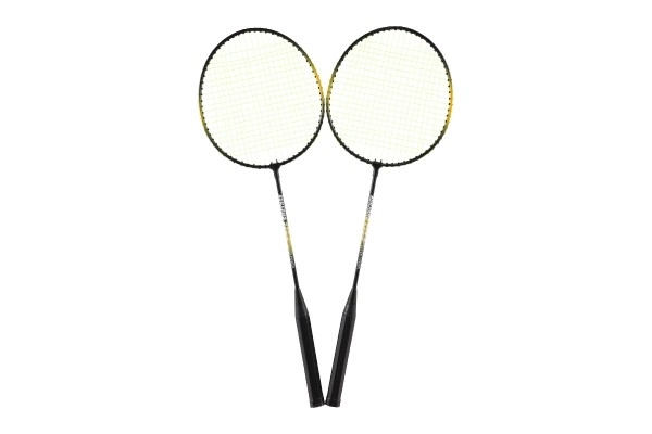 Badminton-Set mit Tasche