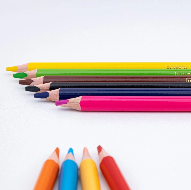 ASTRA Pastellstifte Rainbow High JUMBO 10er Pack