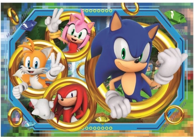 Puzzle Igel Sonic 180 Teile