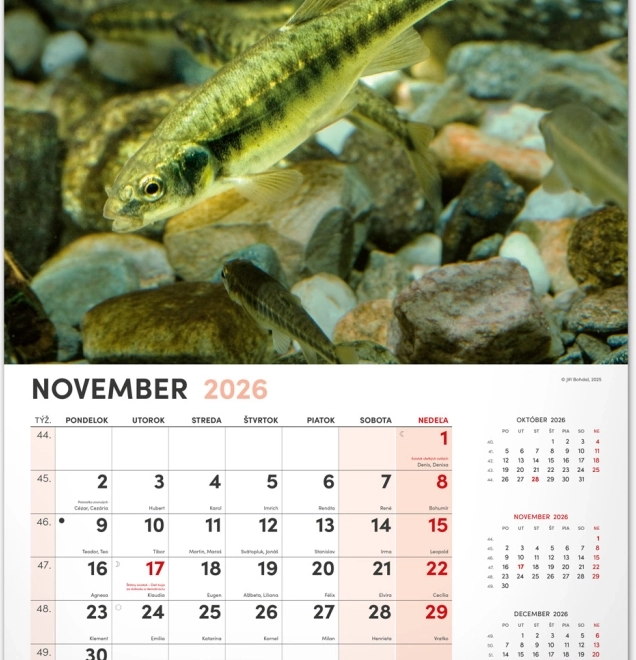 Wandkalender Angeln 2026