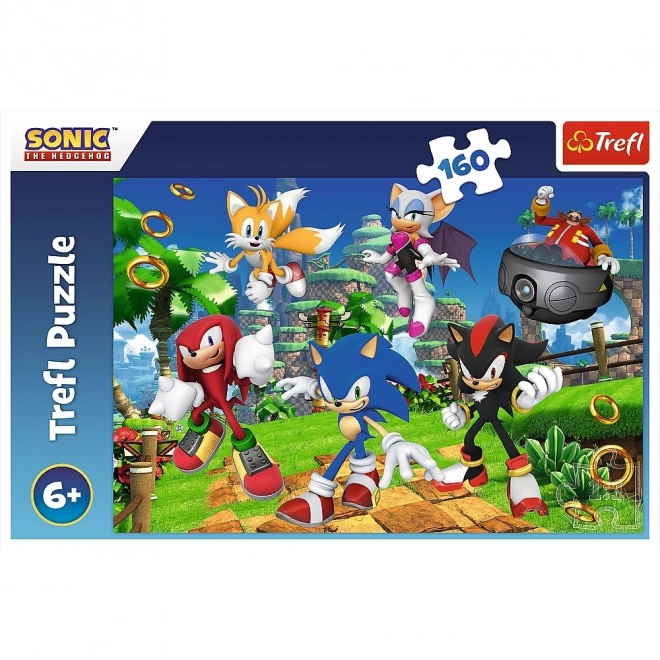 Puzzle 160 Teile Sonic und Freunde