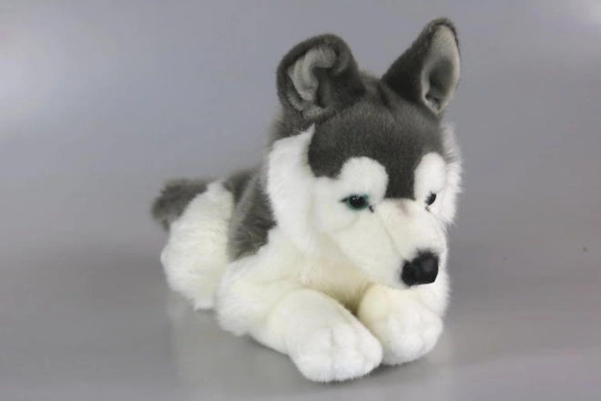 Plüsch-Husky Kuscheltier