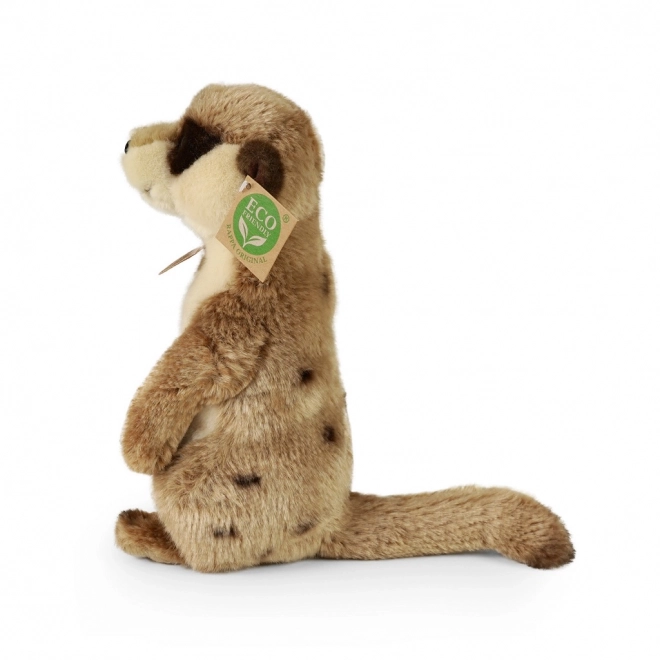 Plüsch Erdmännchen Rappa 24 cm