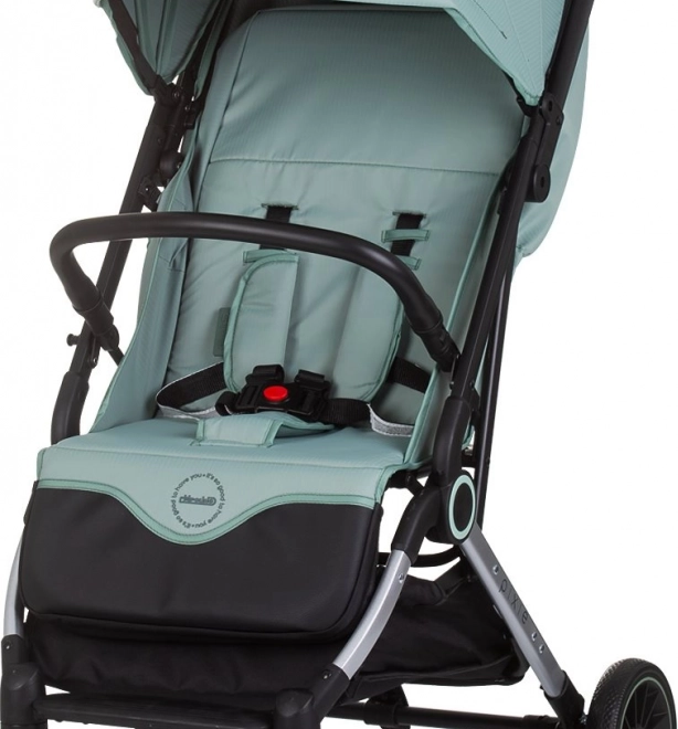 Sportwagen Chipolino Pixie Basil