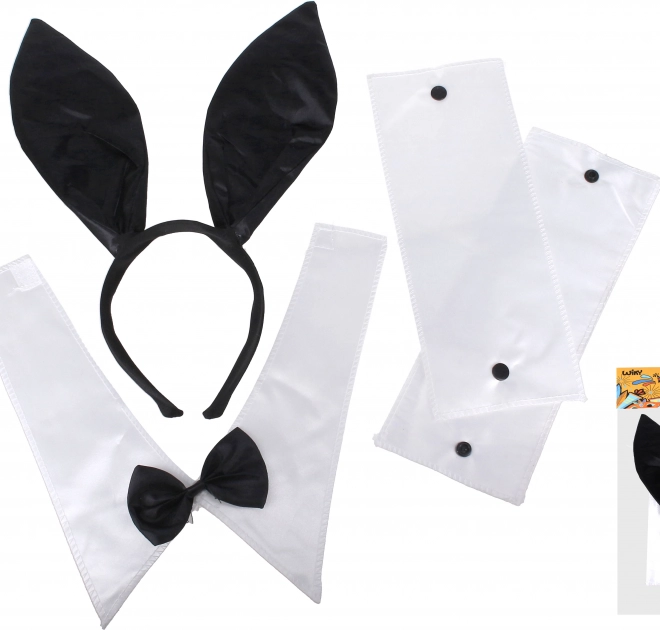 Karneval-Set Hase für Kinder