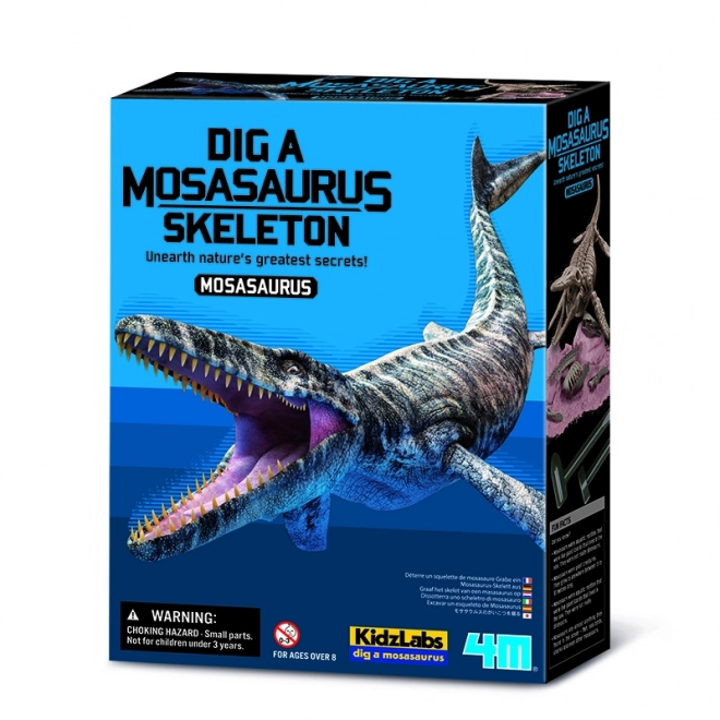 4M Mosasaurus Skelett