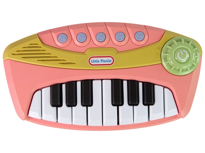 Großartiger Musikspaß