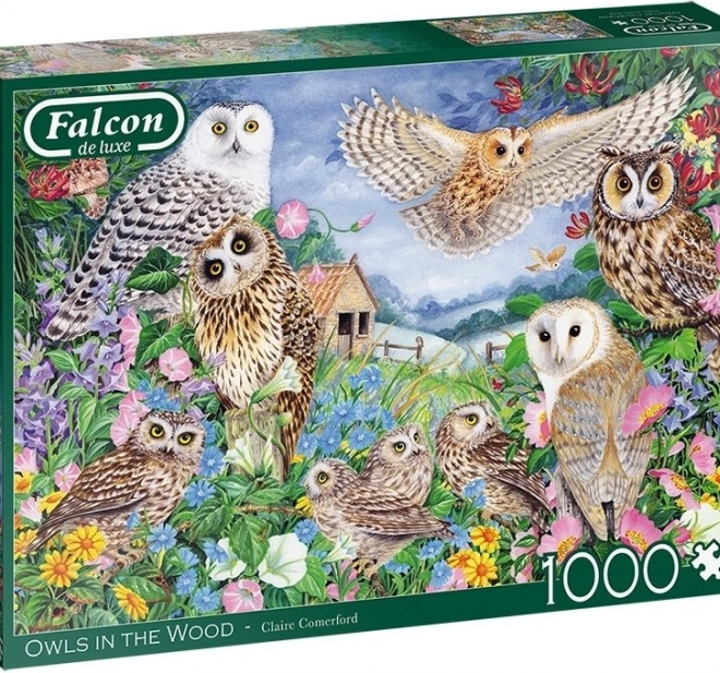 Puzzle FALCON Eulen im Wald, 1000 Teile