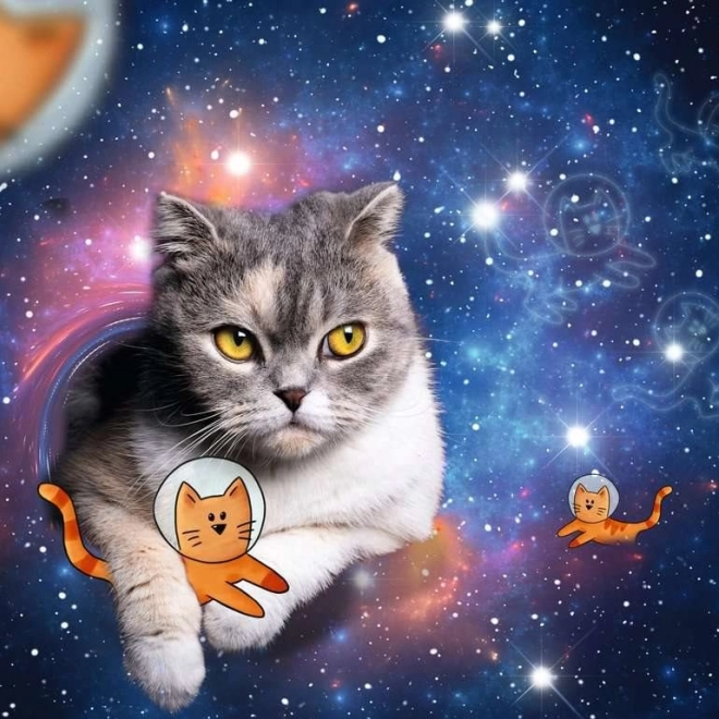 Puzzle Katze im Weltraum 1500 Teile