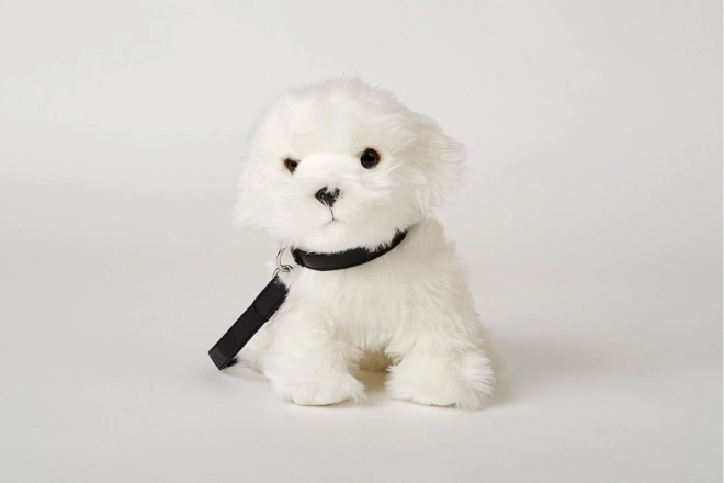 Weicher Malteserhund mit Leine, 28 cm