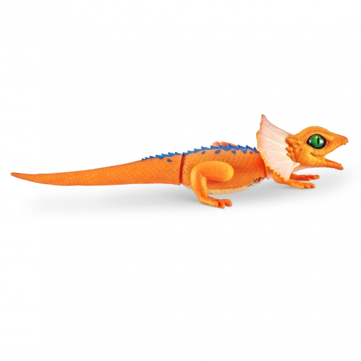 Realistisches Aussehen und Farben