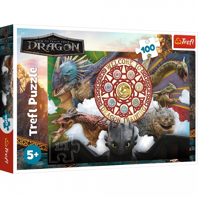 Puzzle 100 Teile Drachen in Aktion