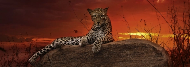 Panoramapuzzle Sonnenaufgang in Kenia