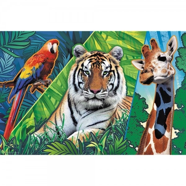 Puzzle TREFL Tierwelt: Wunderbare Tiere 300 Teile