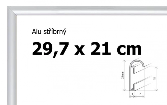 Eleganter Aluminium Bilderrahmen in Silber A4