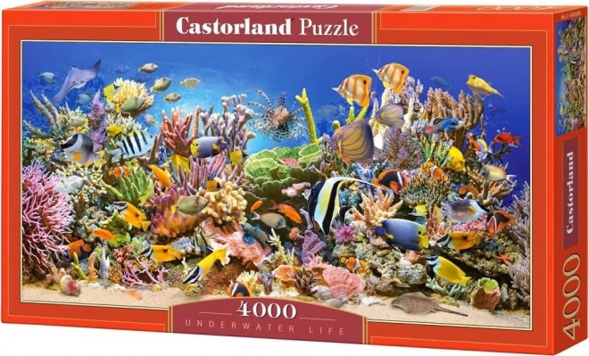 Puzzle Unterwasserleben 4000 Teile CASTORLAND