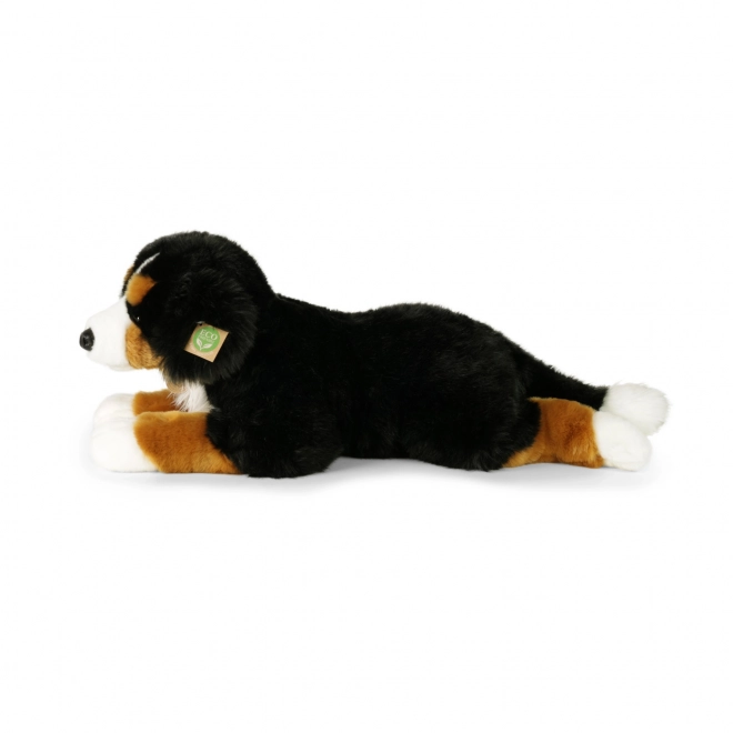 Großer Plüsch Berner Sennenhund liegend 61 cm