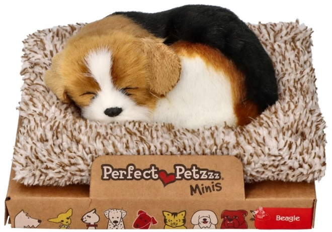 Beagle-Hund auf Bett