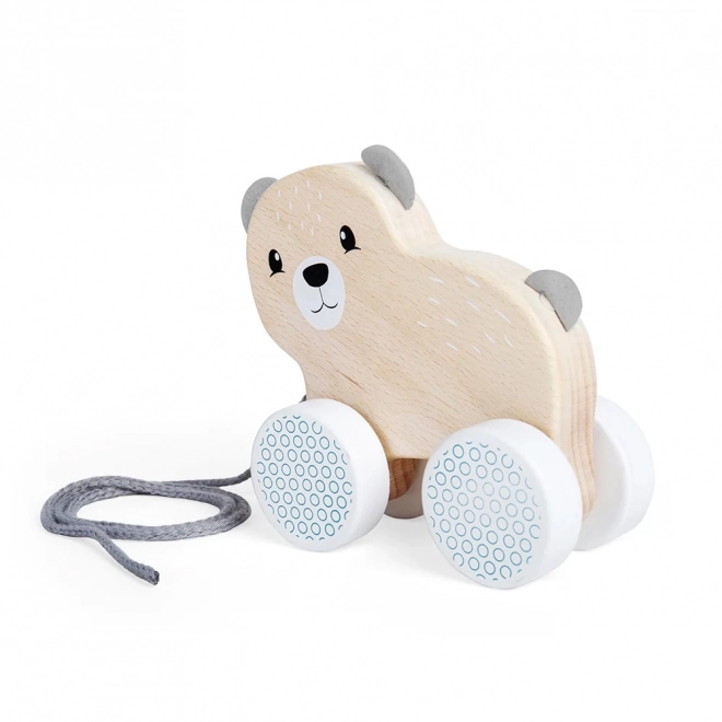 Bigjigs Toys Ziehbarer Teddybär