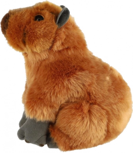 Sichere Wahl ab der Geburt