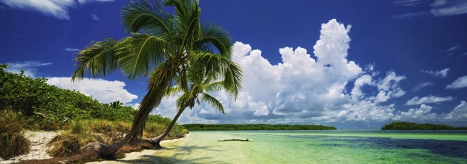 Tropisches Motiv eines paradiesischen Strandes